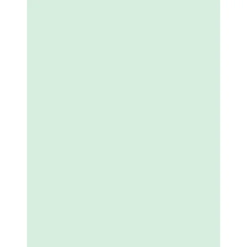 Tiffen 3x4 Inch CC10G Green Color Filter