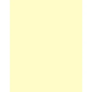 Tiffen 3x4 Inch CC10Y Yellow Color Correction Filter