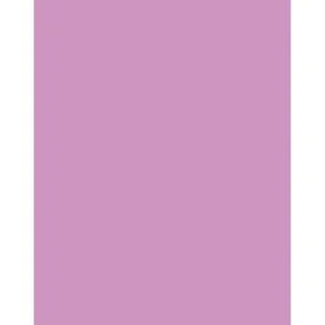Tiffen 3x4 Inch CC40M Magenta Color Filter