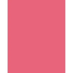Tiffen 3x4 Inch CC30R Red Color Correction Filter