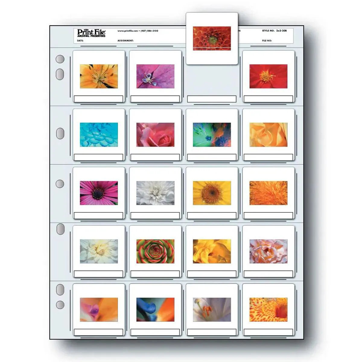 Archival Storage Page for Slide Printing and Filing