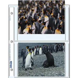 Archival Storage Pages for 4 Photos, 5 x 7 Inch, 500-Pack, Print File 57-4P
