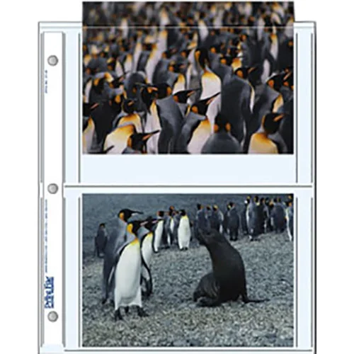 Archival Storage Pages for 4 Photos, 5 x 7 Inch, 500-Pack, Print File 57-4P