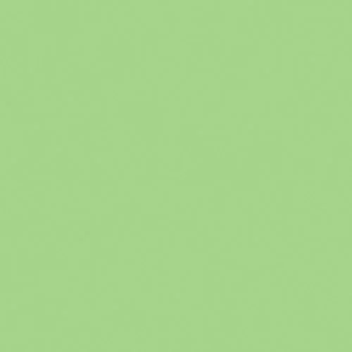 Light Green Rosco #88 Filter Roll - 48 x 25' Size