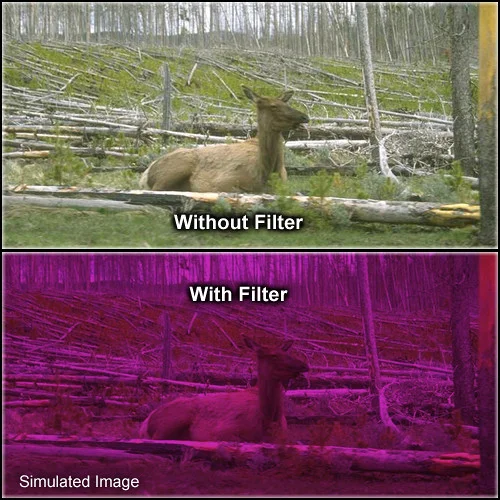 Tiffen 3 Plum Hard-Edge Graduated Filter 2 x 2 Inch