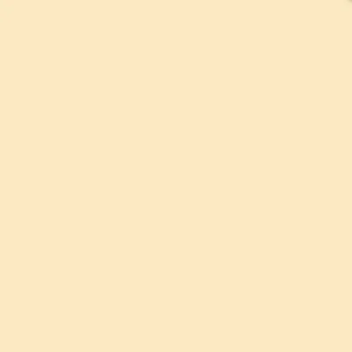 Tiffen 1 Coral Solid Color Filter 2 x 2 Inch