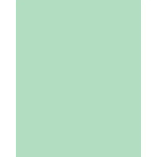 Tiffen CC20G Green Color Correction Filter 2 x 3 Inch