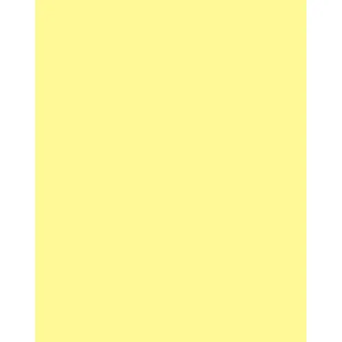 Tiffen 2x3 Inch CC20Y Yellow Color Correction Filter