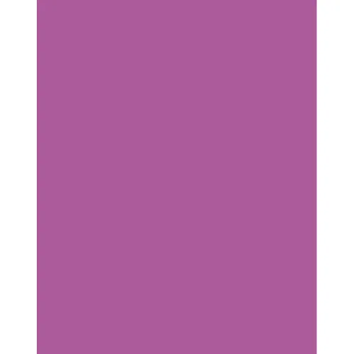 Tiffen CC70M Magenta Filter, 2 x 3 Inches