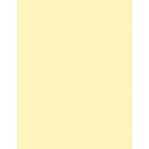 Tiffen 1/4 Coral Solid Color Filter 2 x 3 Inch