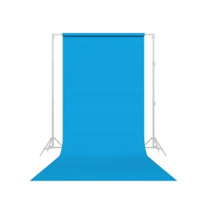 Savage #31 Seamless Blue Jay Background Paper (86 x 36 Feet)