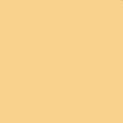 Tiffen 3x3 Inch 4 Coral Solid Color Photography Filter