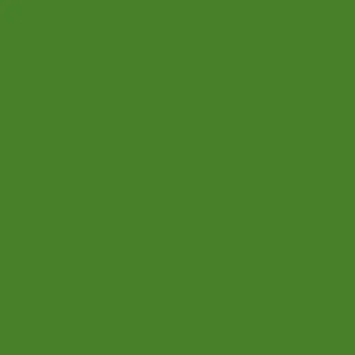 Tiffen 3x4 Inch #13 (2-Pack) Green Filter