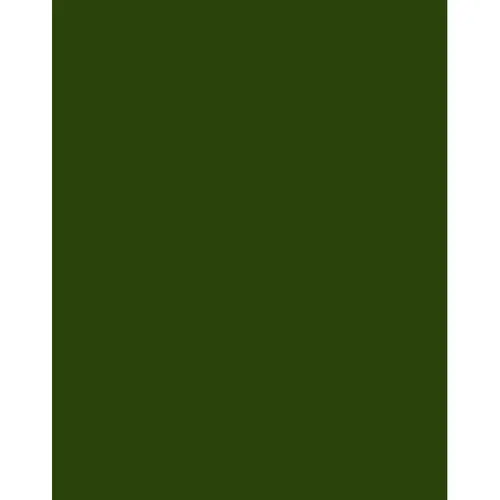 Tiffen 3x4 Inch Deep Green No. 61 Filter