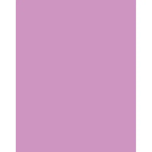 Tiffen 3x4 Inch CC40M Magenta Color Filter