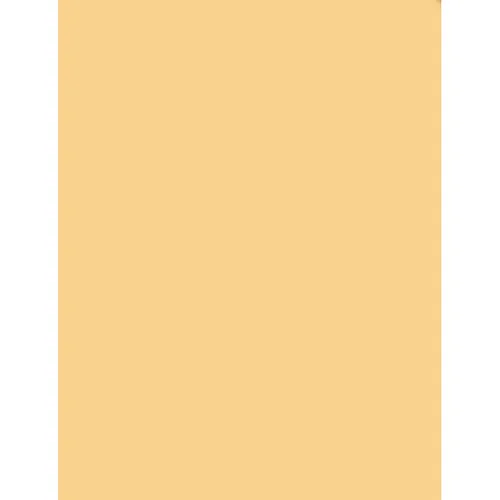 Tiffen 4 x 3 Solid Coral Color Filter