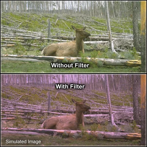 Tiffin 4.5-Inch Circular 1 Plum Solid Hue Filter - Image 2