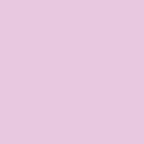 Tiffen 4x4 Inch CC20M Magenta Color Correction Filter