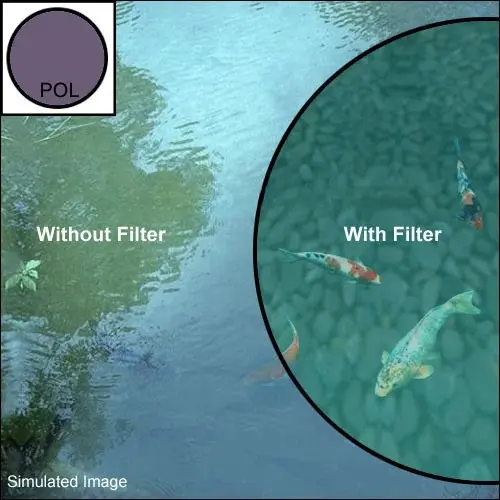 Tiffen 4x4 Inch Polarizing Glass Filter for Low Light Conditions - Image 2
