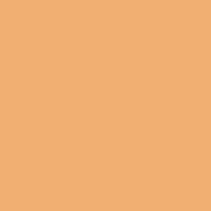 Tiffen 4x4 Inch Dual Tangerine Color Solid Filter