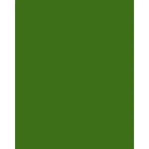 Tiffen 4x5 Inch #56 Light Green Camera Filter