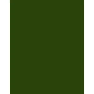 Tiffen 4x5 Inch Deep Green No. 61 Filter