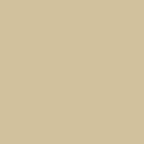 Tiffen 81D Light Balancing Filter 4 x 5.65 Inch