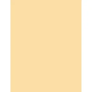 Tiffen 4x5.65-Inch Coral Solid Color Filter 2