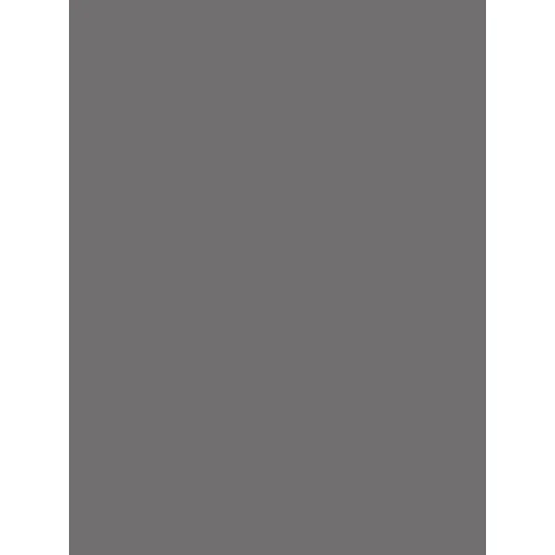 Tiffen 1.6-Stop Neutral Density Filter (4 x 5.65 Inches)