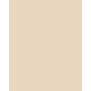 Tiffen 81C Light Balancing Filter 4 x 5 Inch