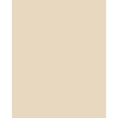 Tiffen 81C Light Balancing Filter 4 x 5 Inch