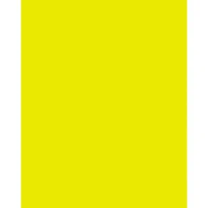 Tiffen 4x5 Inch Yellow #8 Glass Filter for B&W Photography