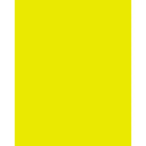 Tiffen 4x5 Inch Yellow #8 Glass Filter for B&W Photography