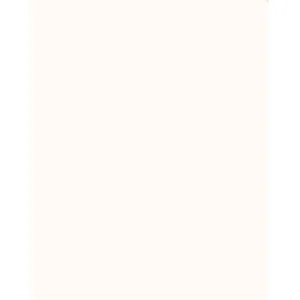 Tiffen 4x5 Inch 1/8 Coral Solid Color Photography Filter