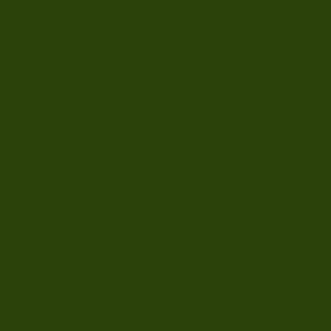 Tiffen 5x5 Inch #61 Deep Green Camera Filter