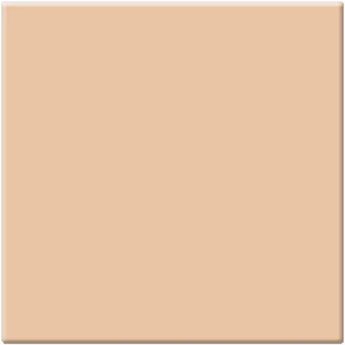 Tiffen 5x5 Inch Nude FX 2 Photography Filter