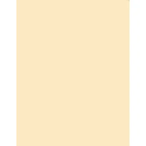 Tiffen Coral Solid Color Filter 4 x 6 Inches