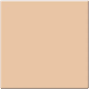 Tiffen 6x6 Inch Nude FX 2 Photography Filter