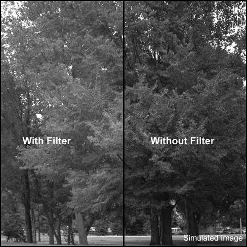 Kodak 75mm 3x3 #61 Wratten 2 Deep Green Gel Filter