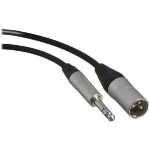Canare Star Quad 100' XLR Male to 1/4 TRS Male Audio Cable (Black)