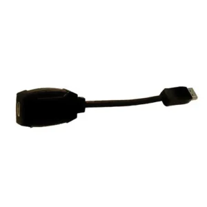 Active DisplayPort to HDMI Adapter Cable - Male to Female, 1 Foot Length