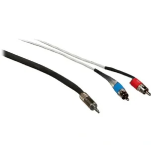 Pro Co Sound Mini Stereo to Dual RCA Male Audio Patch Cord - 10 Foot Y-Cable