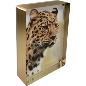 Canetti Design Group Elegant Gold Magnetic Frame (5 x 7 Inches)