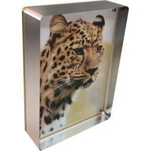 Canetti Design Group Elegant Magnetic Photo Frame (5 x 7 Inches, Silver Finish)