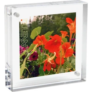 Original 8 x 8 Inch Magnet Frame by Canetti Design Group