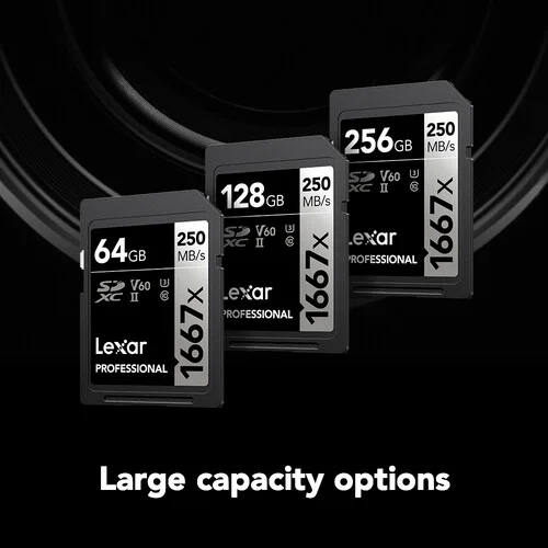 Lexar Professional 256GB UHS-II SDXC 1667x Memory Cards (2-Pack) - Image 5