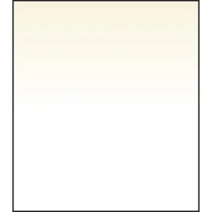 LEE SW150 Soft Edge Graduated 81A Filter 150 x 170mm