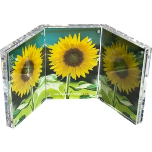 Canetti Design Group 4 x 6 Inch Triple Magnet Photo Frame in Clear Vertical Style